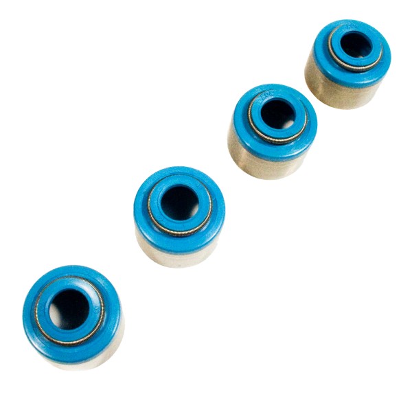 VITON VALVE SEALS